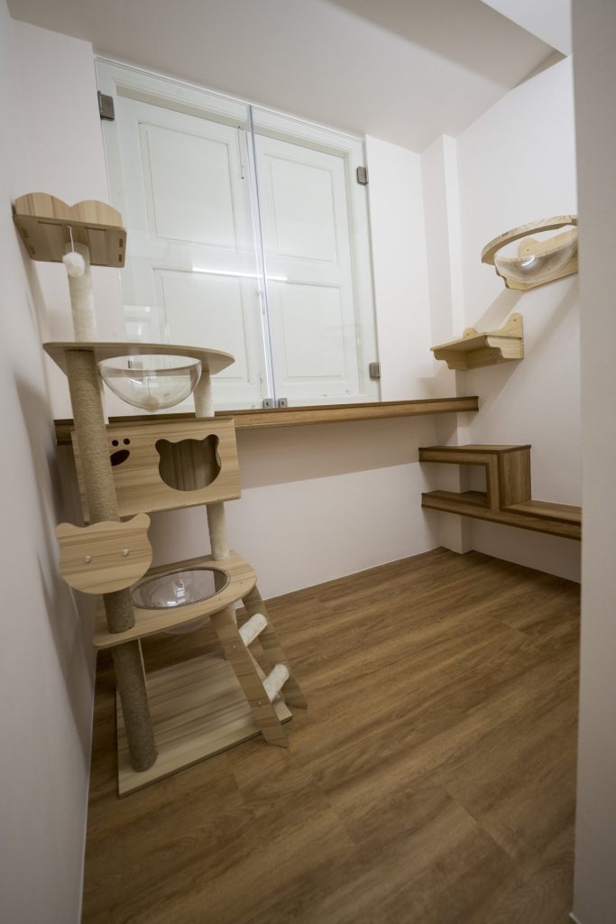 Affordable Luxury Cat Hotel - Imperial Suite at Tiny Paw Hotel, providing a spacious, luxurious boarding experience for cats.