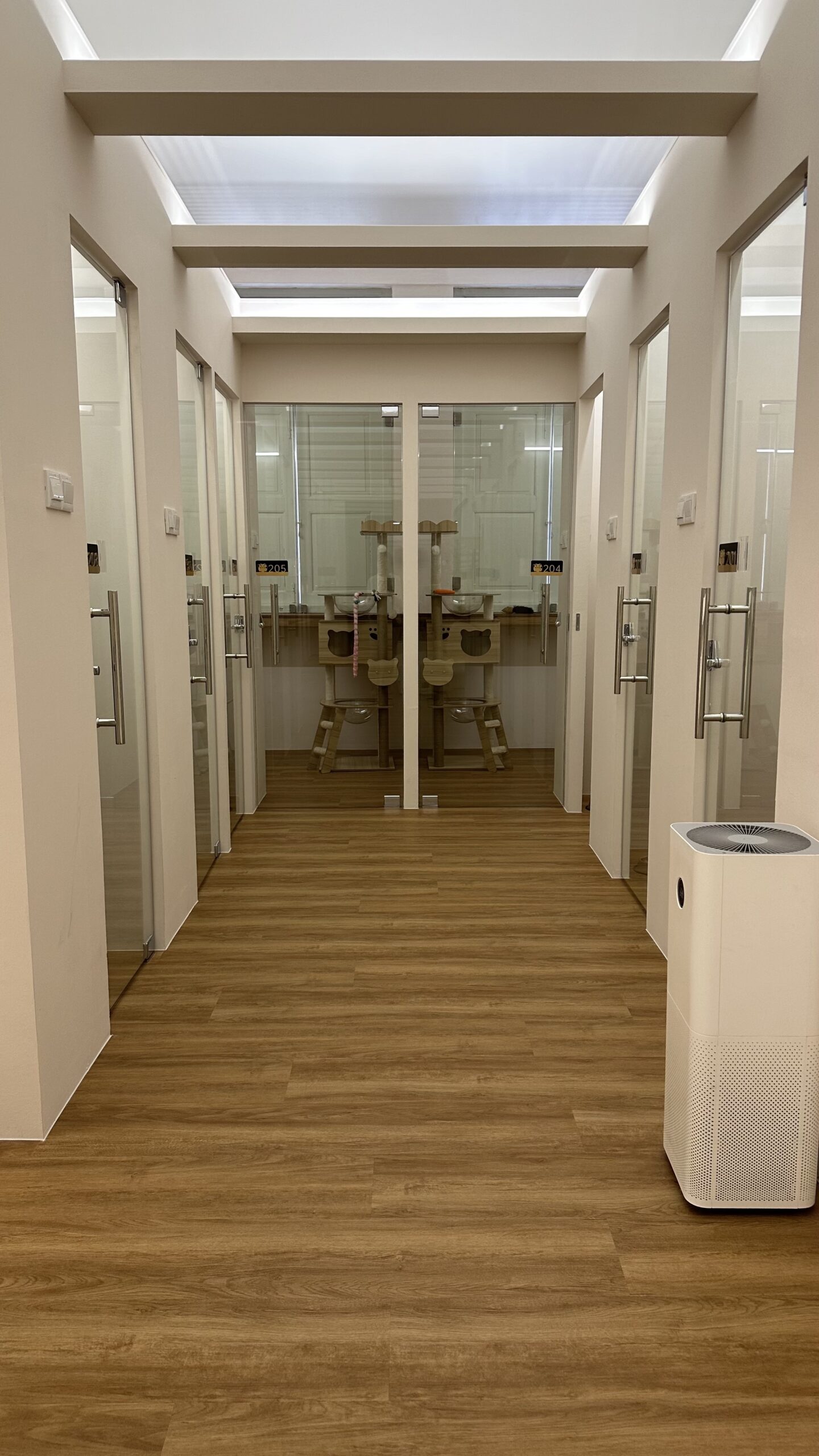 Tiny Paw Hotel - An affordable luxurious and welcoming cat hotel designed for comfort and relaxation, featuring cosy suites, play areas, and a tranquil atmosphere. Ideal for cats to enjoy a premium boarding experience with attentive care and enriching amenities during their stay.