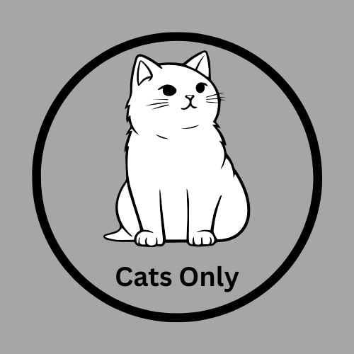 Affordable Luxury Cat Boarding Hotel in Singapore - Tiny Paw Hotel.