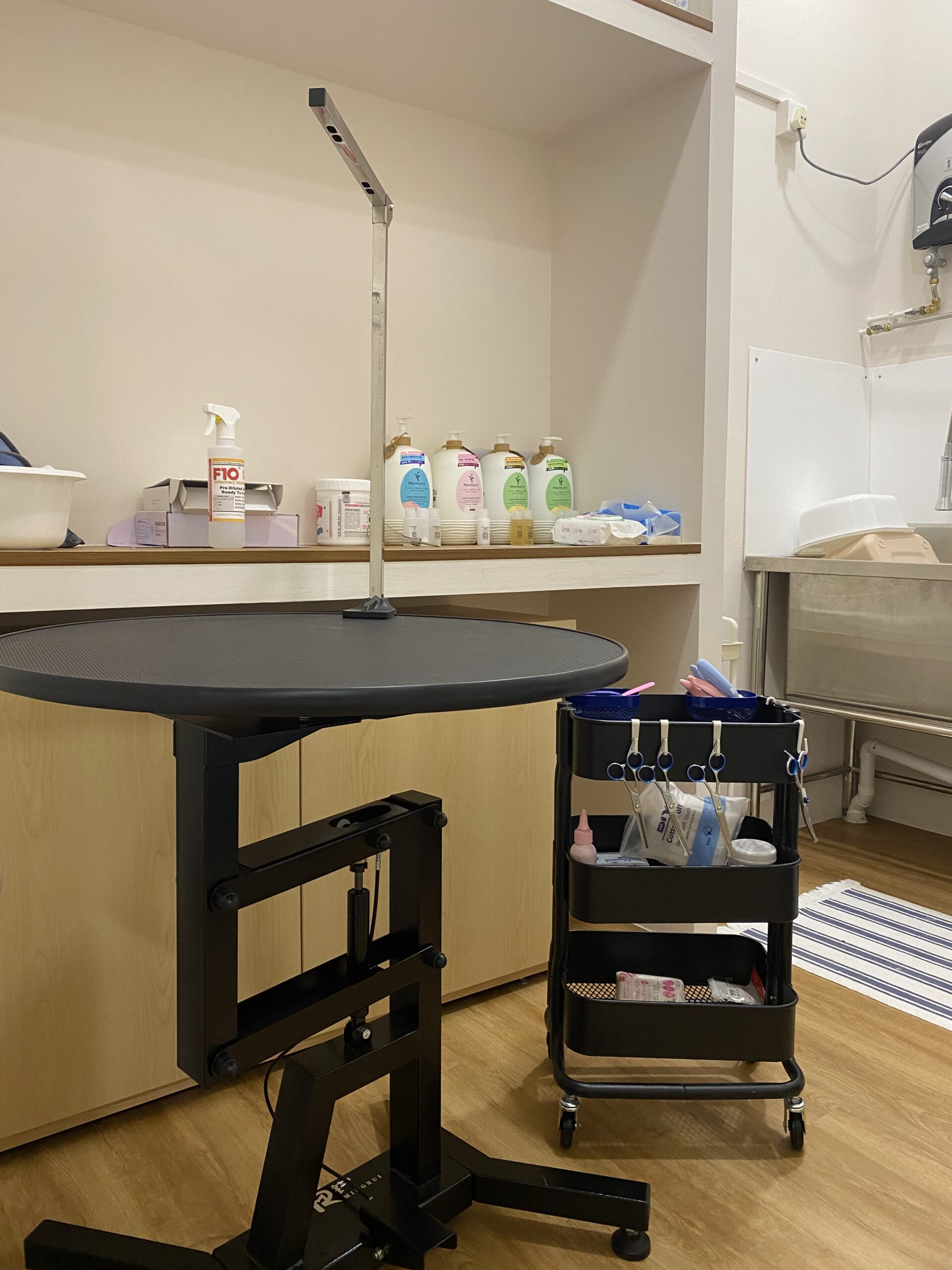 Tiny Paw Wellness Center, an affordable luxury cat boarding, grooming and pet shop in Singapore.