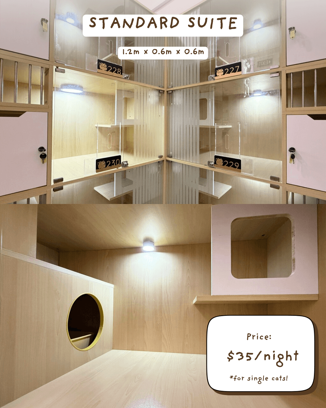 Affordable Luxury Cat Hotel - Standard Suite at Tiny Paw Hotel, a comfortable and cosy space for cats to relax and enjoy.
