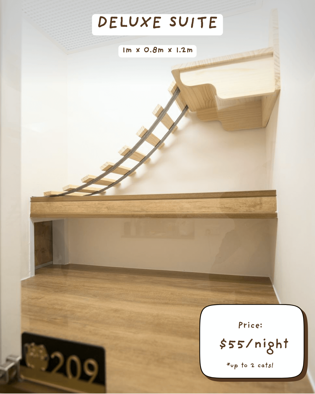 Affordable Luxury Cat Hotel - Deluxe Suite at Tiny Paw Hotel, featuring a spacious, cosy environment for cats to unwind.