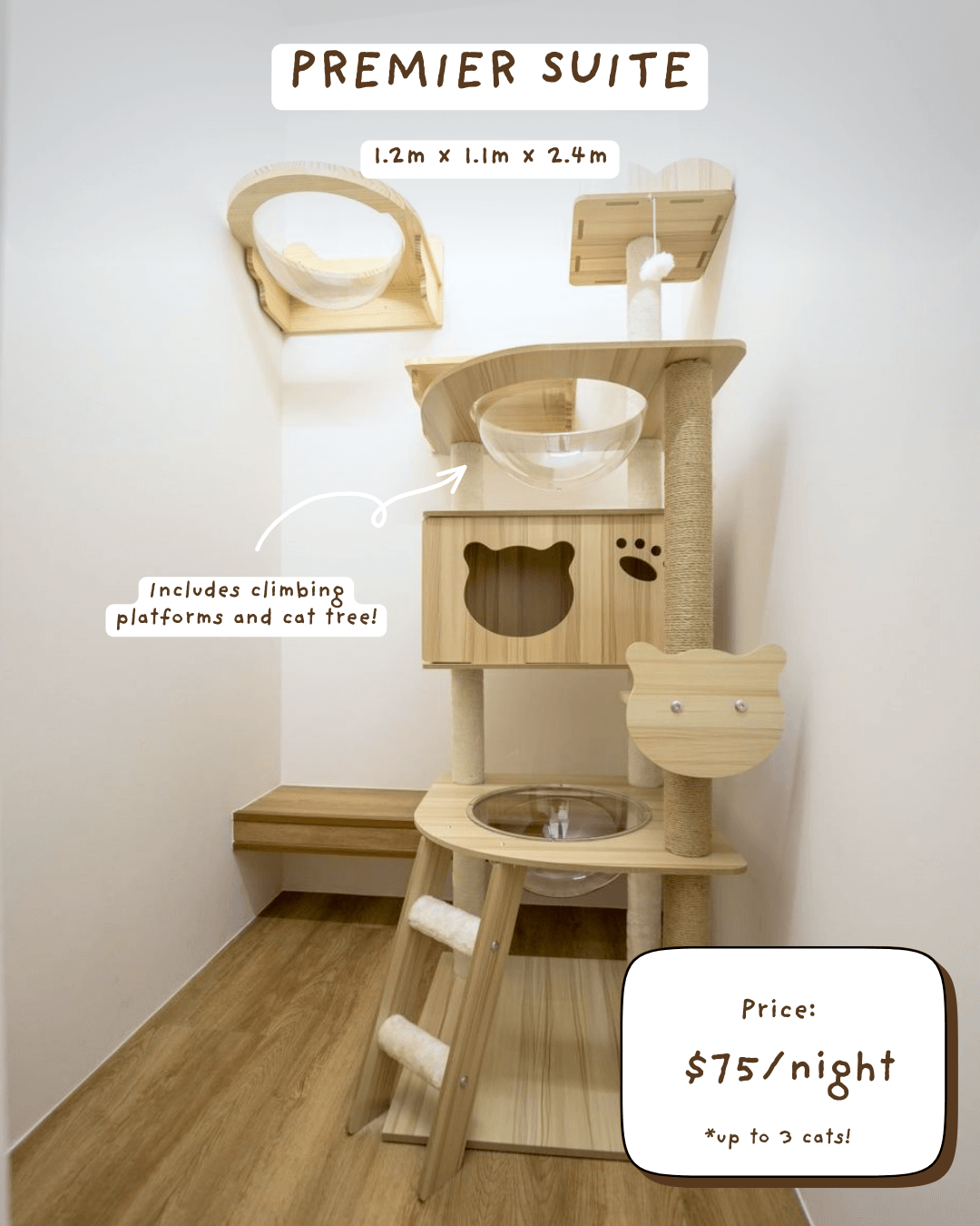 Affordable Luxury Cat Hotel - Premier Suite at Tiny Paw Hotel with climbing platforms and cat tree.