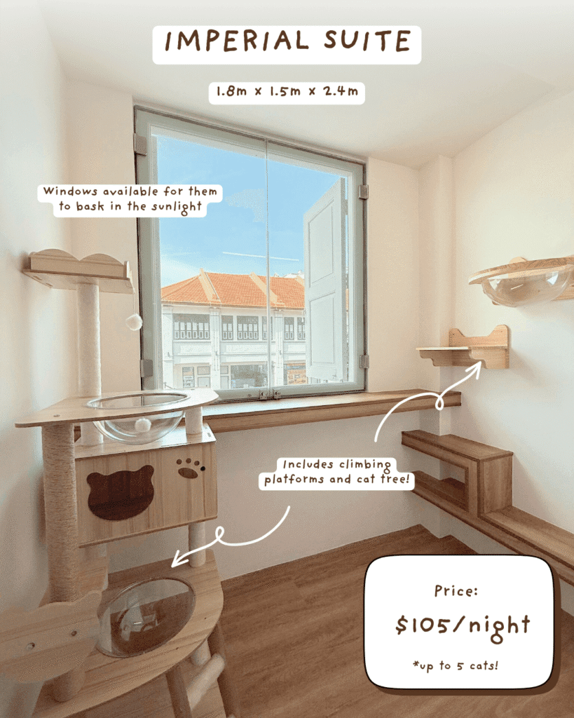Affordable Luxury Cat Hotel - Imperial Suite at Tiny Paw Hotel, providing a spacious, luxurious boarding experience for cats.