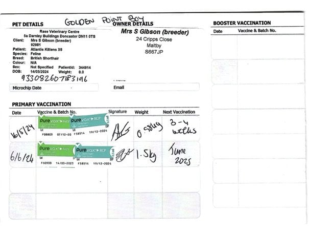 Tiny Paw’s booking procedures for boarding your cat at Tiny Paw Cat Hotel.