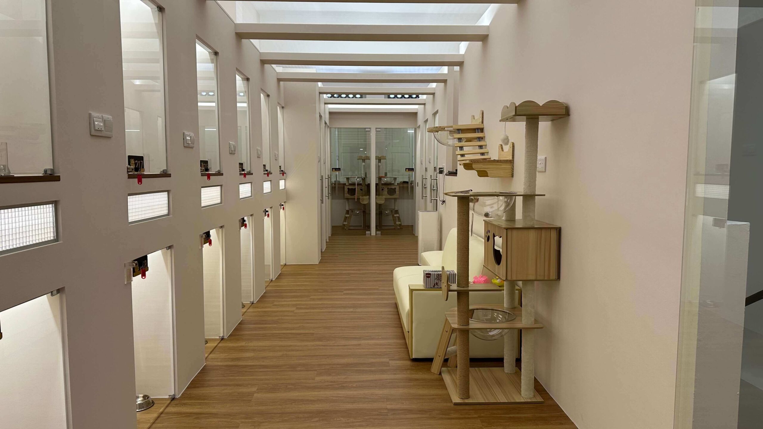 Luxury Cat Boarding Hotel in Singapore | Tiny Paw Cat Boarding Hotel