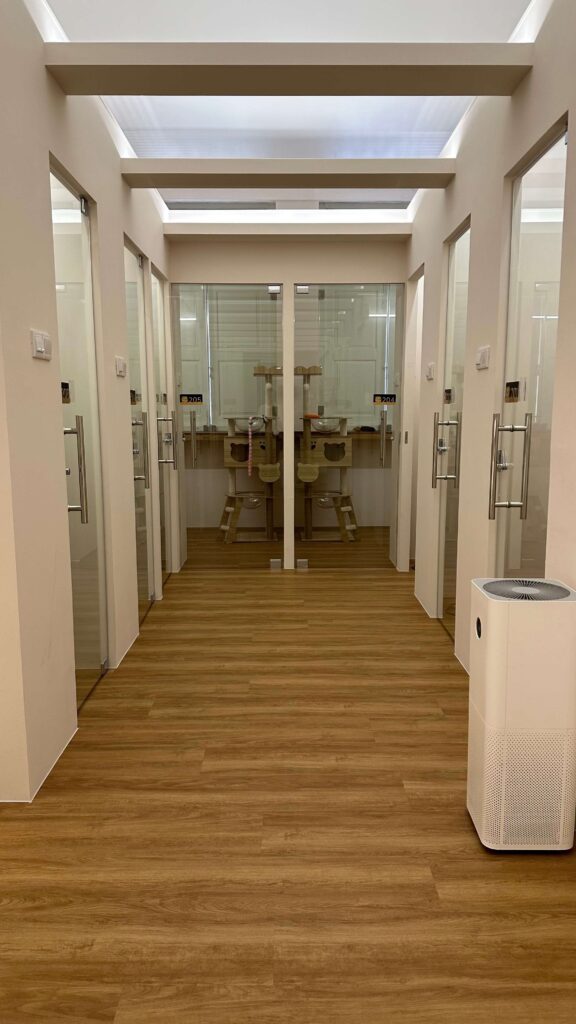 Luxury Cat Boarding Hotel in Singapore | Tiny Paw Cat Boarding Hotel Suites