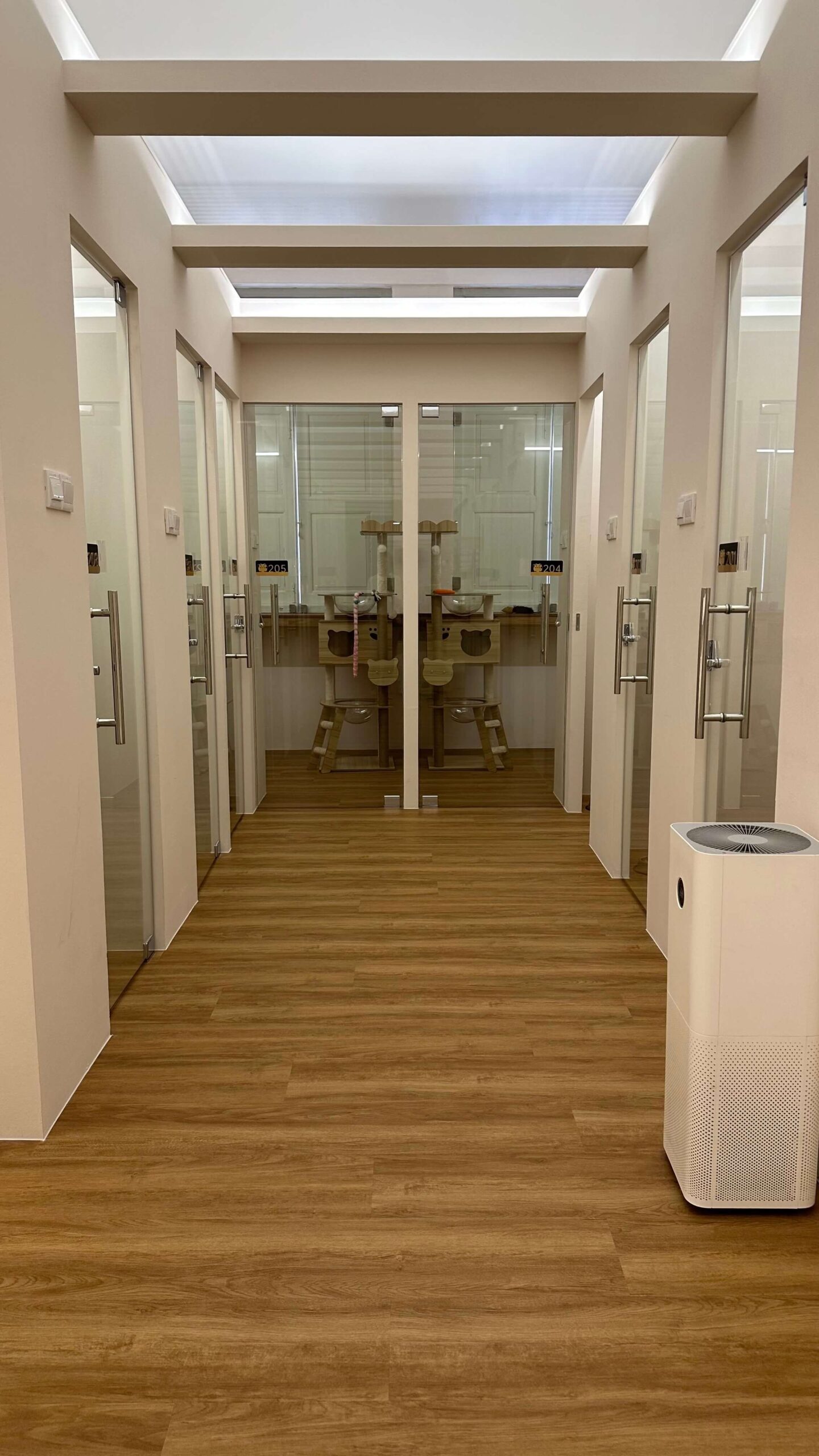 Cat Boarding Singapore | Luxury Cat Hotel & Boarding - TinyPaw