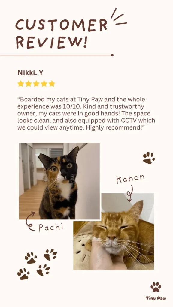 Nikki's 5-star review for cat boarding at Tiny Paw Cat Hotel Singapore