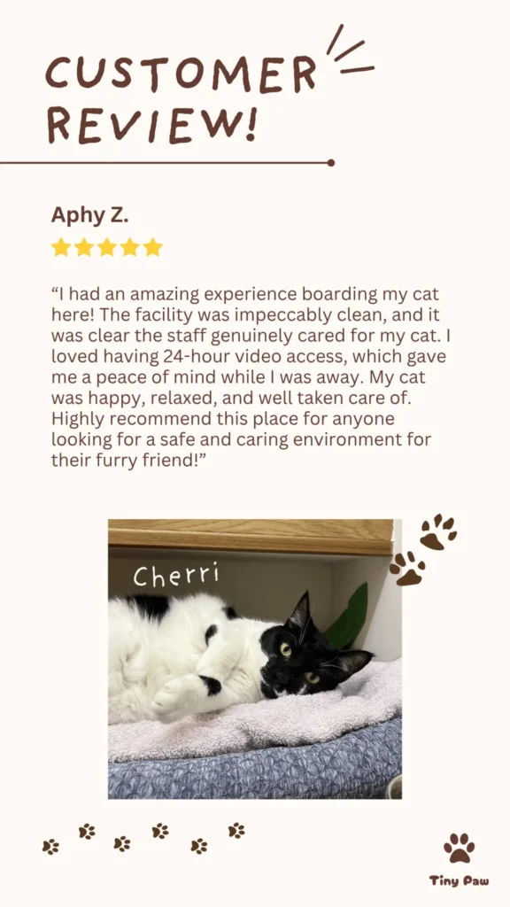 Aphy's 5-star review for cat boarding at Tiny Paw Cat Hotel Singapore