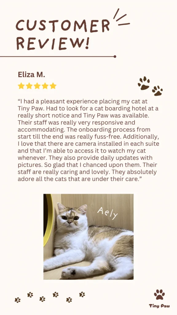 Eliza's 5-star review for cat boarding at Tiny Paw Cat Hotel Singapore