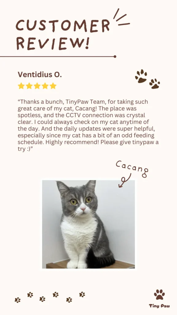 Ventidius's 5-star review for cat boarding at Tiny Paw Cat Hotel Singapore