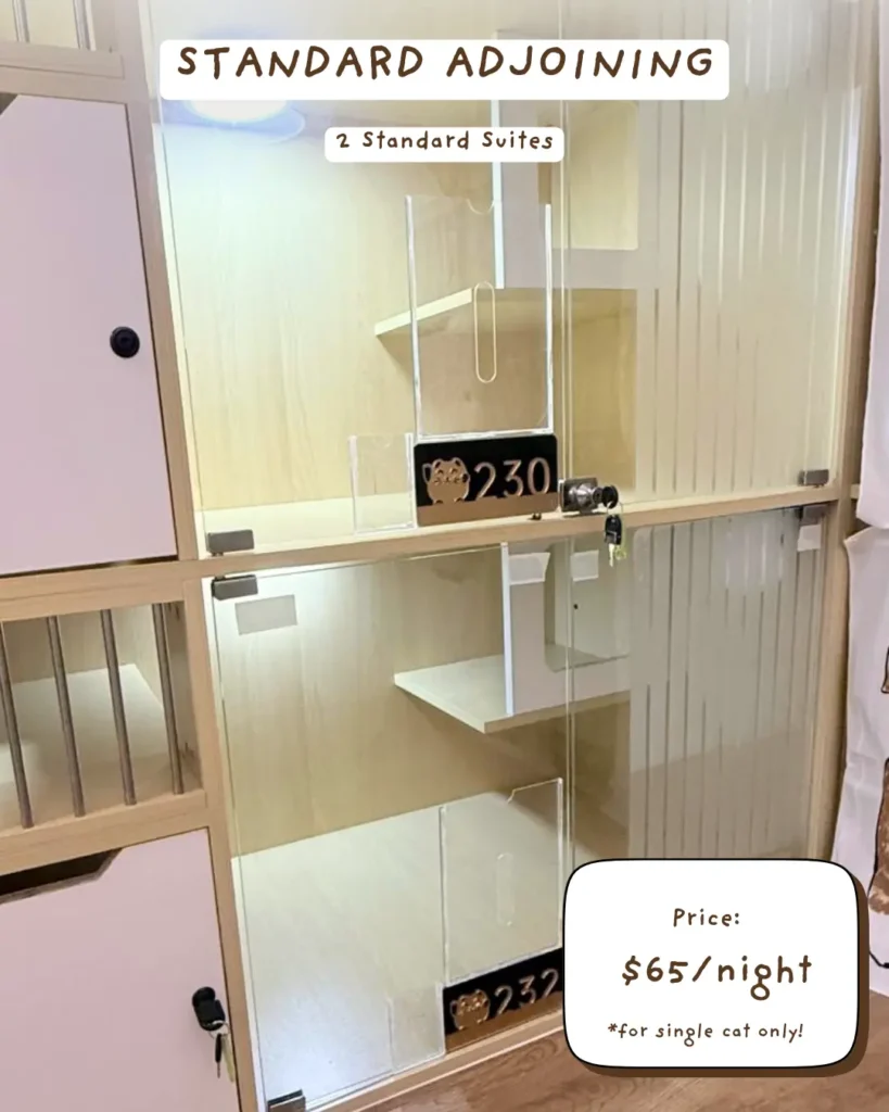 Affordable Luxury Cat Hotel – Standard Adjoining Suite at Tiny Paw Hotel, two connected Standard Suites providing extra space for a single cat to explore and relax.