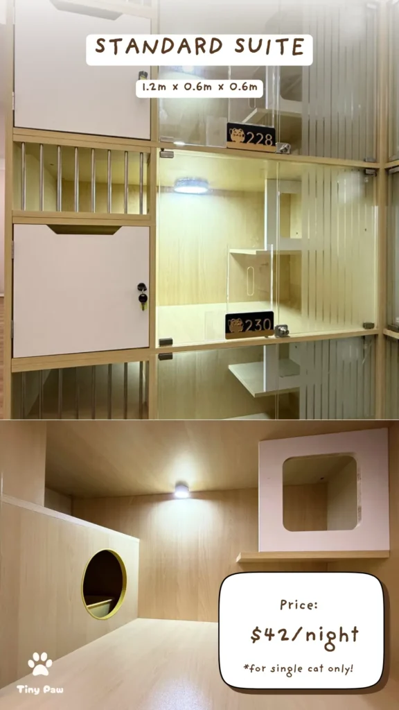 Affordable Luxury Cat Hotel - Standard Suite at Tiny Paw Hotel, a comfortable and cosy space for cats to relax and enjoy.