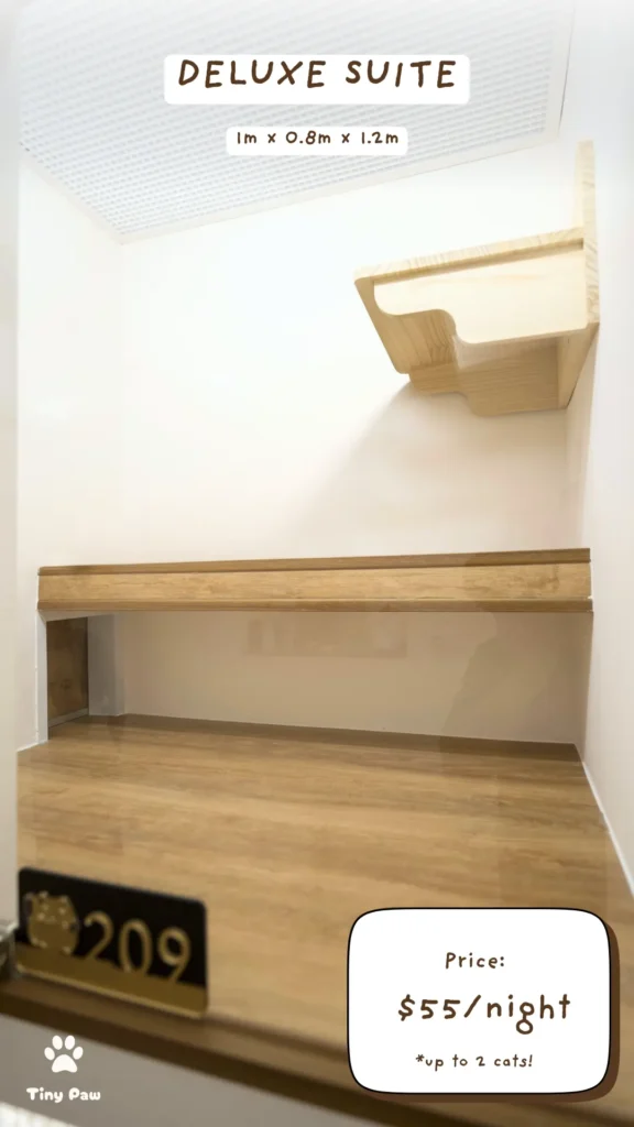 Affordable Luxury Cat Hotel - Deluxe Suite at Tiny Paw Hotel, featuring a spacious, cosy environment for cats to unwind.