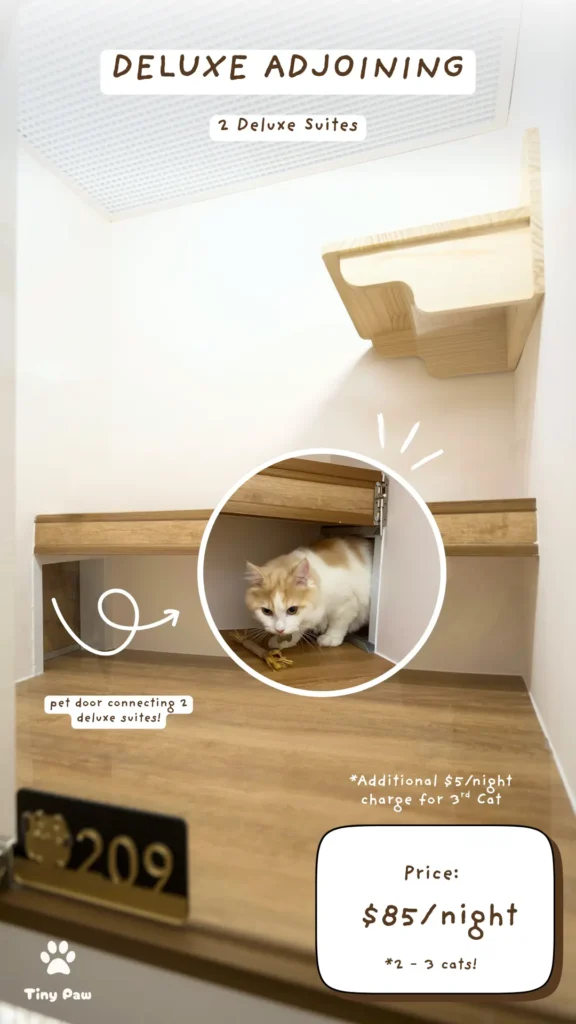 Affordable Luxury Cat Hotel – Deluxe Adjoining Suite at Tiny Paw Hotel, two connected Deluxe Suites providing spacious and flexible accommodation for bonded cats or small cat families.