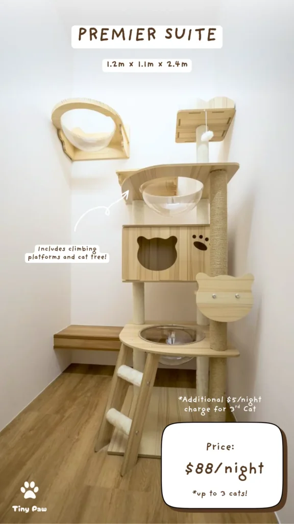 Affordable Luxury Cat Hotel - Premier Suite at Tiny Paw Hotel, featuring climbing platforms and enrichment for active cats.