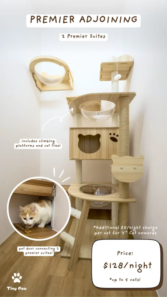 Affordable Luxury Cat Hotel – Premier Adjoining Suite at Tiny Paw Hotel, two connected Premier Suites with generous space and vertical enrichment for active cats and larger families.