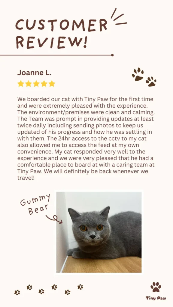 Joanne's 5-star review for cat boarding at Tiny Paw Cat Hotel Singapore