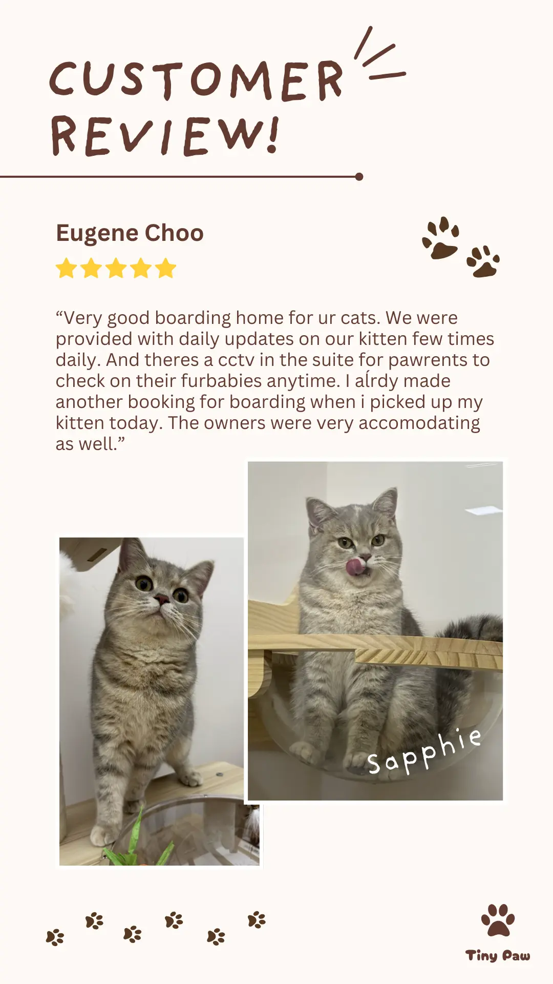 Eugene's 5-star review for cat boarding hotel at Tiny Paw Cat Hotel Singapore