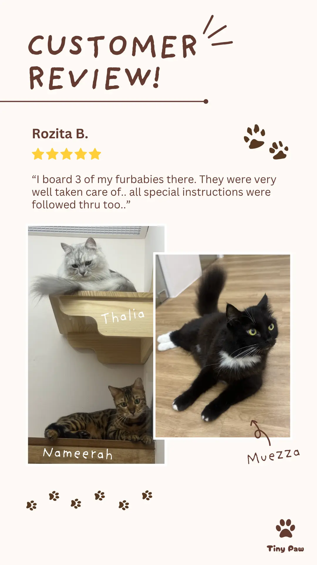 Rozita's 5-star review for cat boarding hotel at Tiny Paw Cat Hotel Singapore