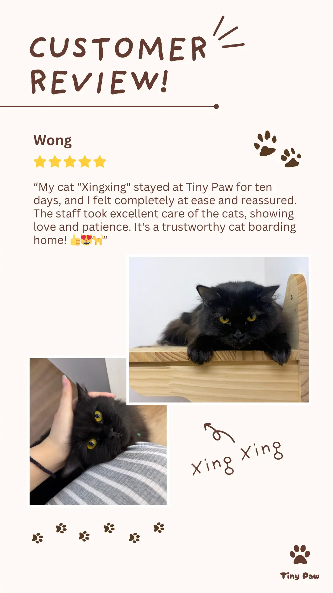 Wong's 5-star review for cat boarding hotel at Tiny Paw Cat Hotel Singapore