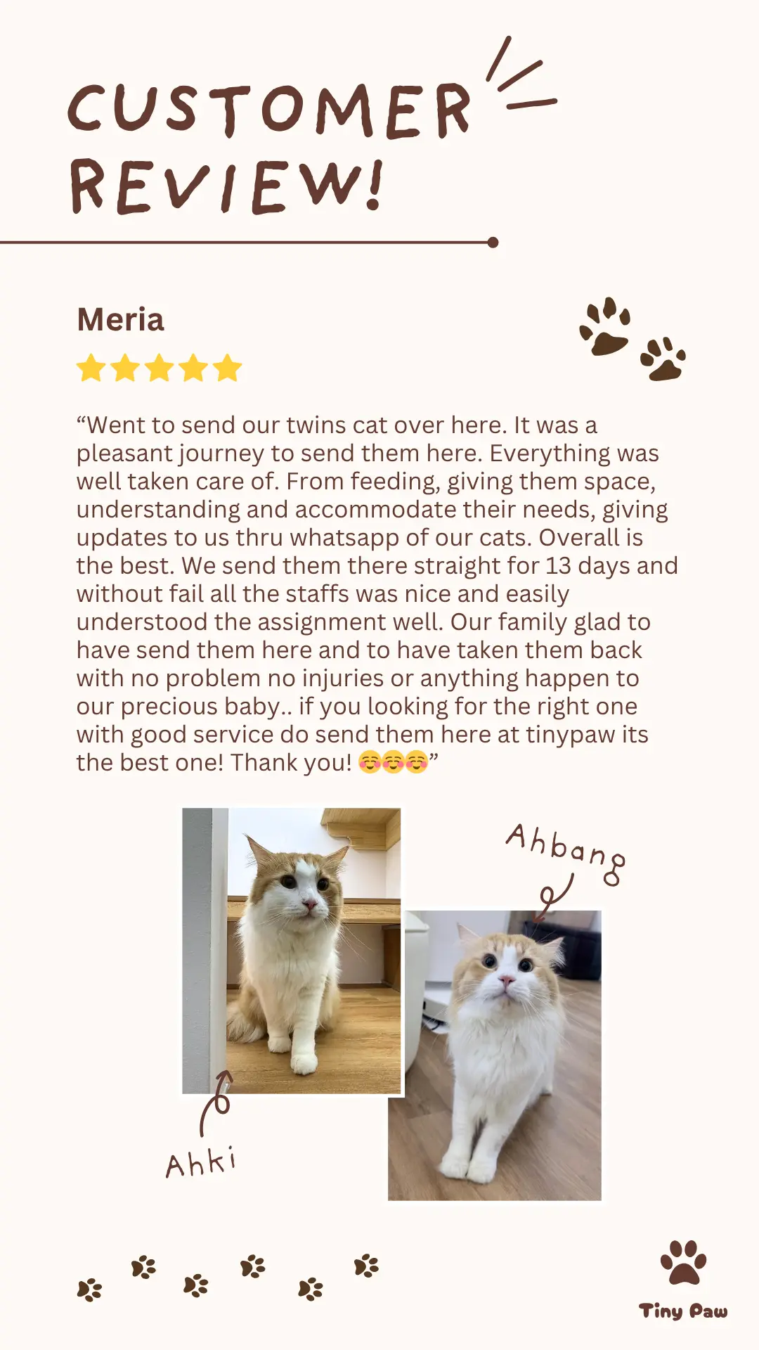 Meria's 5-star review for cat boarding hotel at Tiny Paw Cat Hotel Singapore