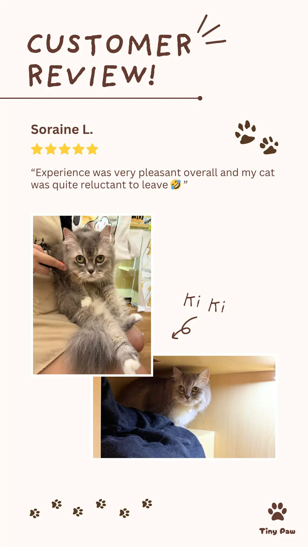 Soraine's 5-star review for cat boarding hotel at Tiny Paw Cat Hotel Singapore